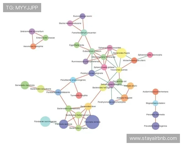 凯发旗舰网站的支付方式多样性和安全保障情况分析